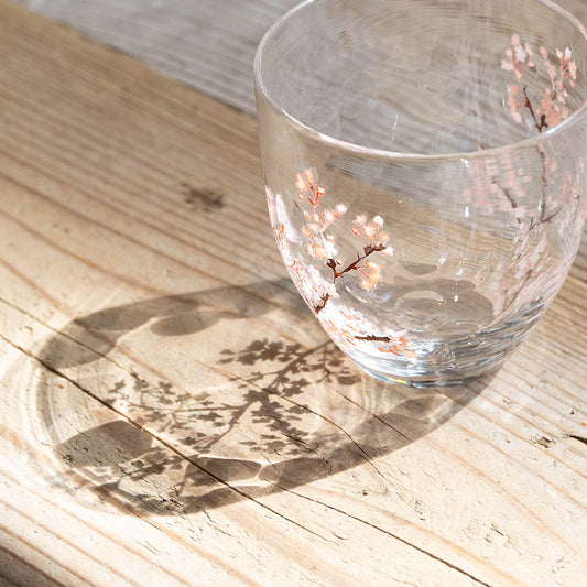 Glass Sakura|Kanazu Sayaka