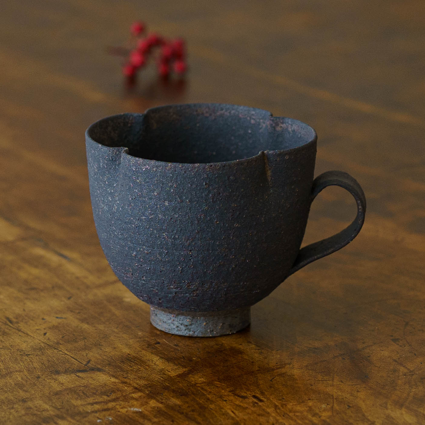 冨部咲喜子鉢付き パキポディウムグラキリス 良型 現地球 発根済 作家 冨部咲喜子 鉄釉 輪花マグ｜作家もののうつわ通販 四季折折