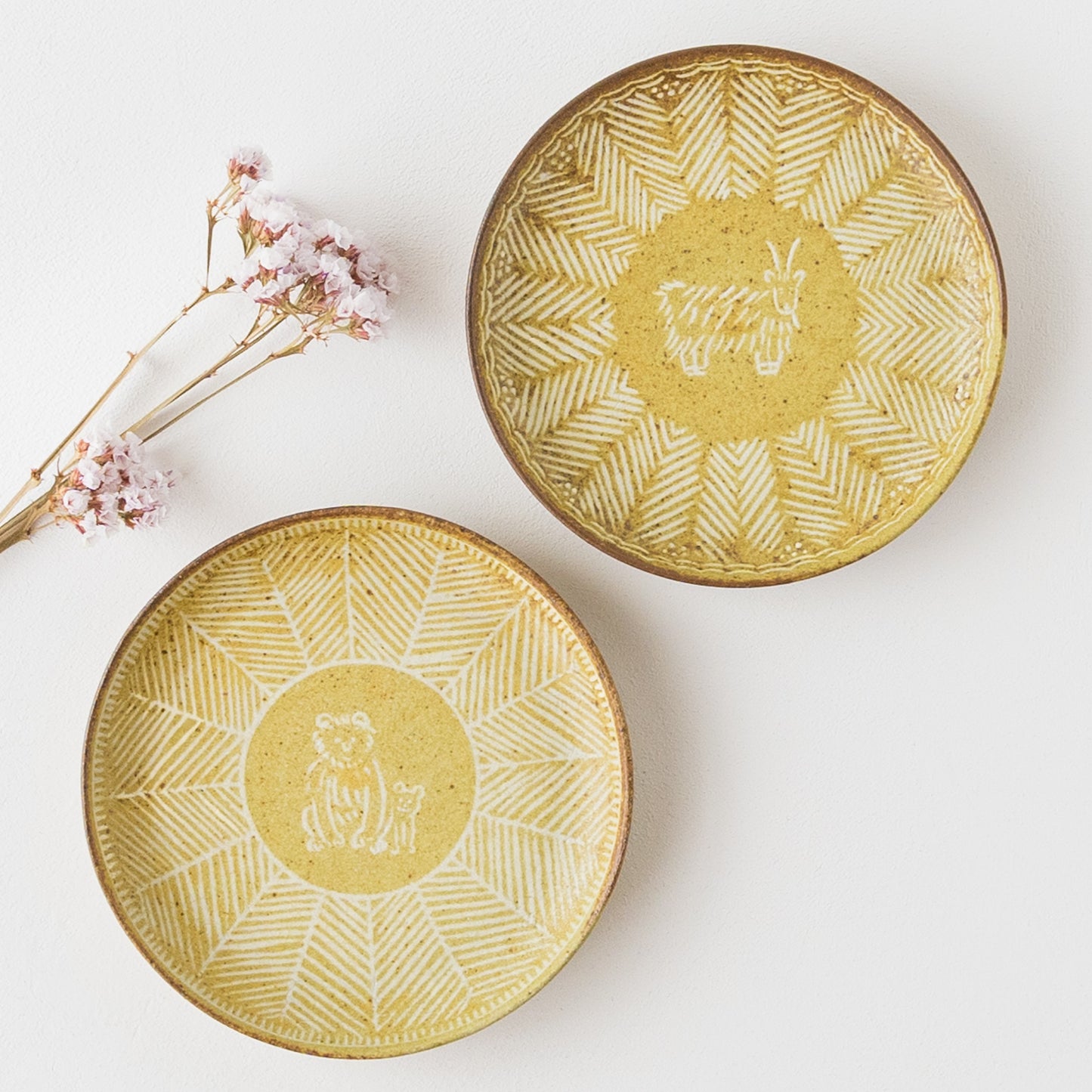 かわいい動物の絵柄にほっこり癒される濵田綾音さんの5寸皿