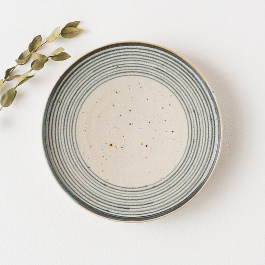 独楽筋が味わい深くて素敵な冨本大輔さんの灰釉染付5寸皿