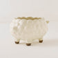 Planter Sheep  | Sugar Poppo