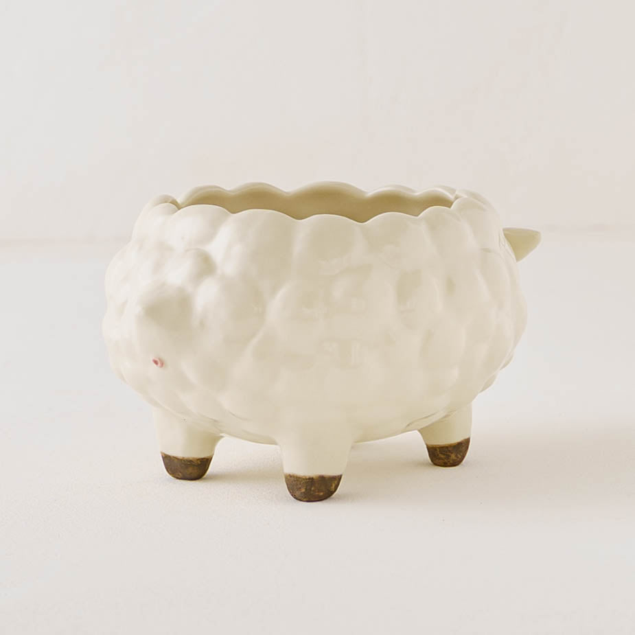 Planter Sheep  | Sugar Poppo