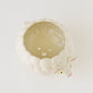 Planter Sheep  | Sugar Poppo