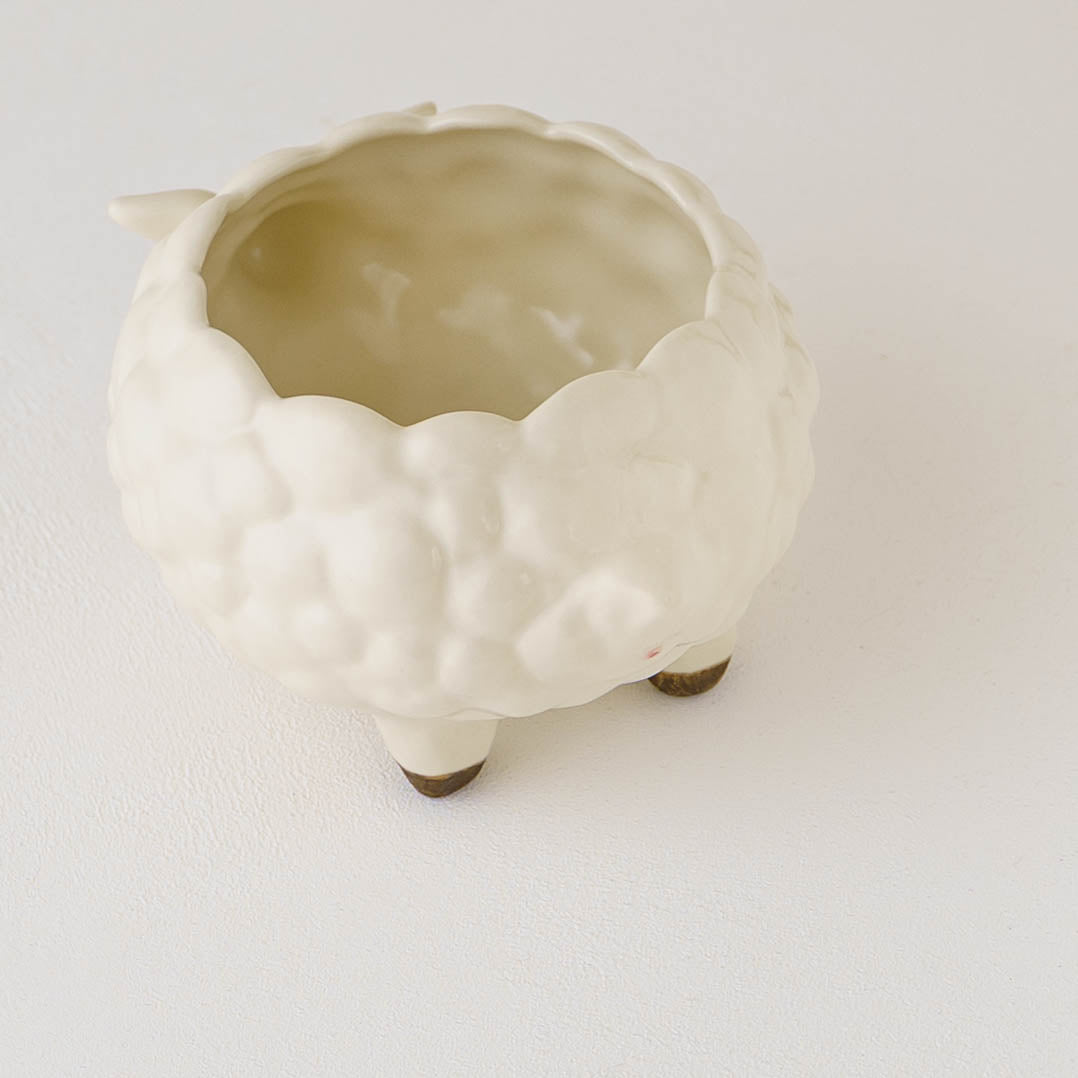 Planter Sheep  | Sugar Poppo