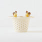 Strainer Squirrel Sweets | Sugar Poppo