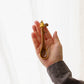 Squirrel Spoon | Sugar Poppo