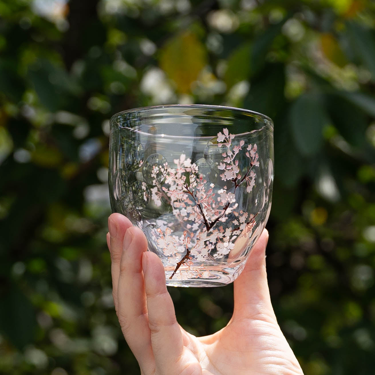 Glass Sakura｜Kanazu Sayaka