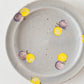 15cm rim plate butterfly light blue x yellow x purple | Haruko Harada