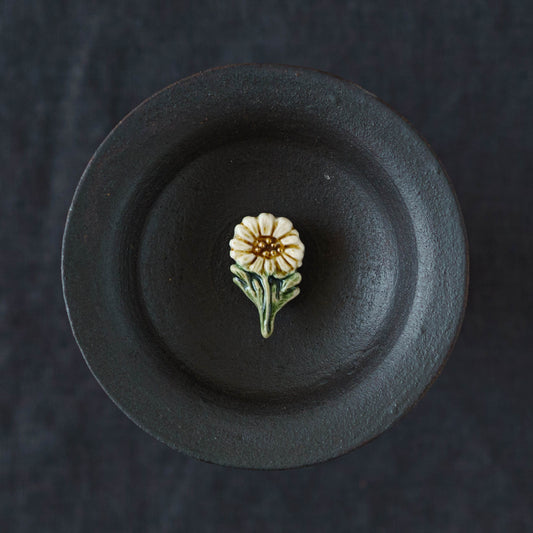 Daisy | Minami Nonomura