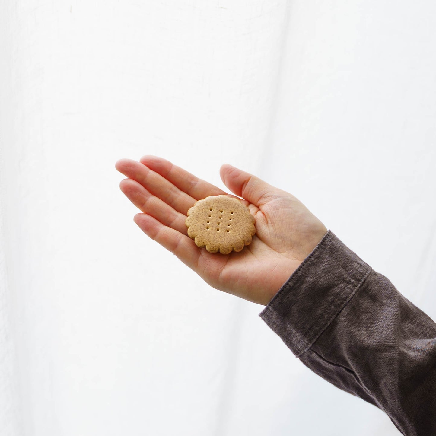 箸置き　クッキー　まる｜辻本路