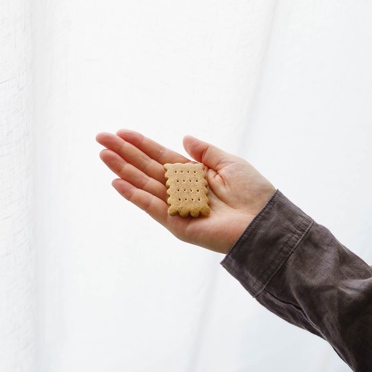 Flower chopstick rest Tulip white｜Michi Tsujimoto