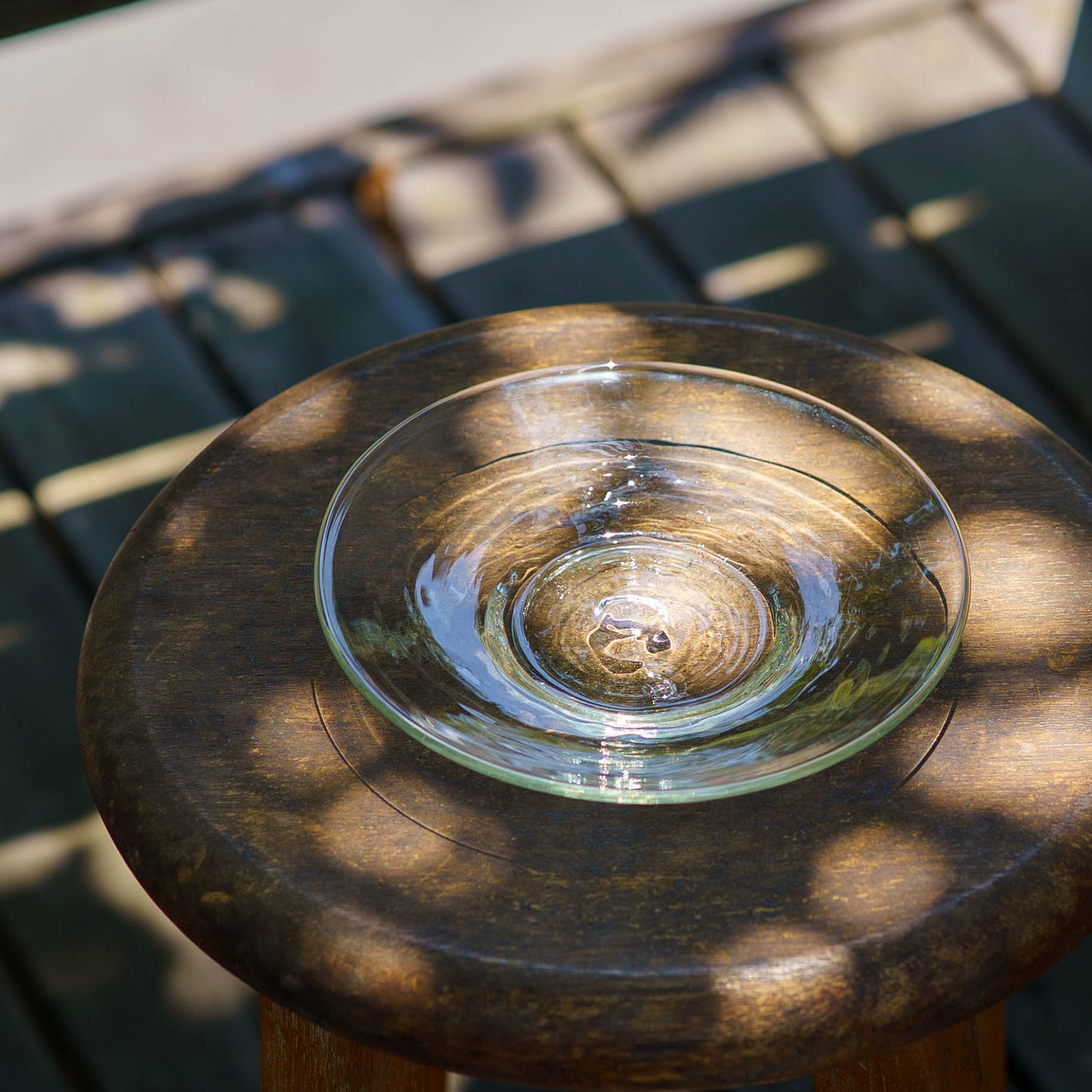 ヒッチーグラス　中　白｜ニジノハ　平岩愛子