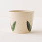 Flower Cup White C｜Yukiko Nagahama (Yabukarabou)