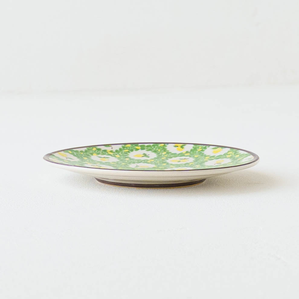 陶芸作家 阿部慎太朗 C&S 檸檬 リバティ｜窯元、作家もののうつわ通販