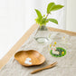 Small plate Alpaca  Cloud  | Kie - zakka 