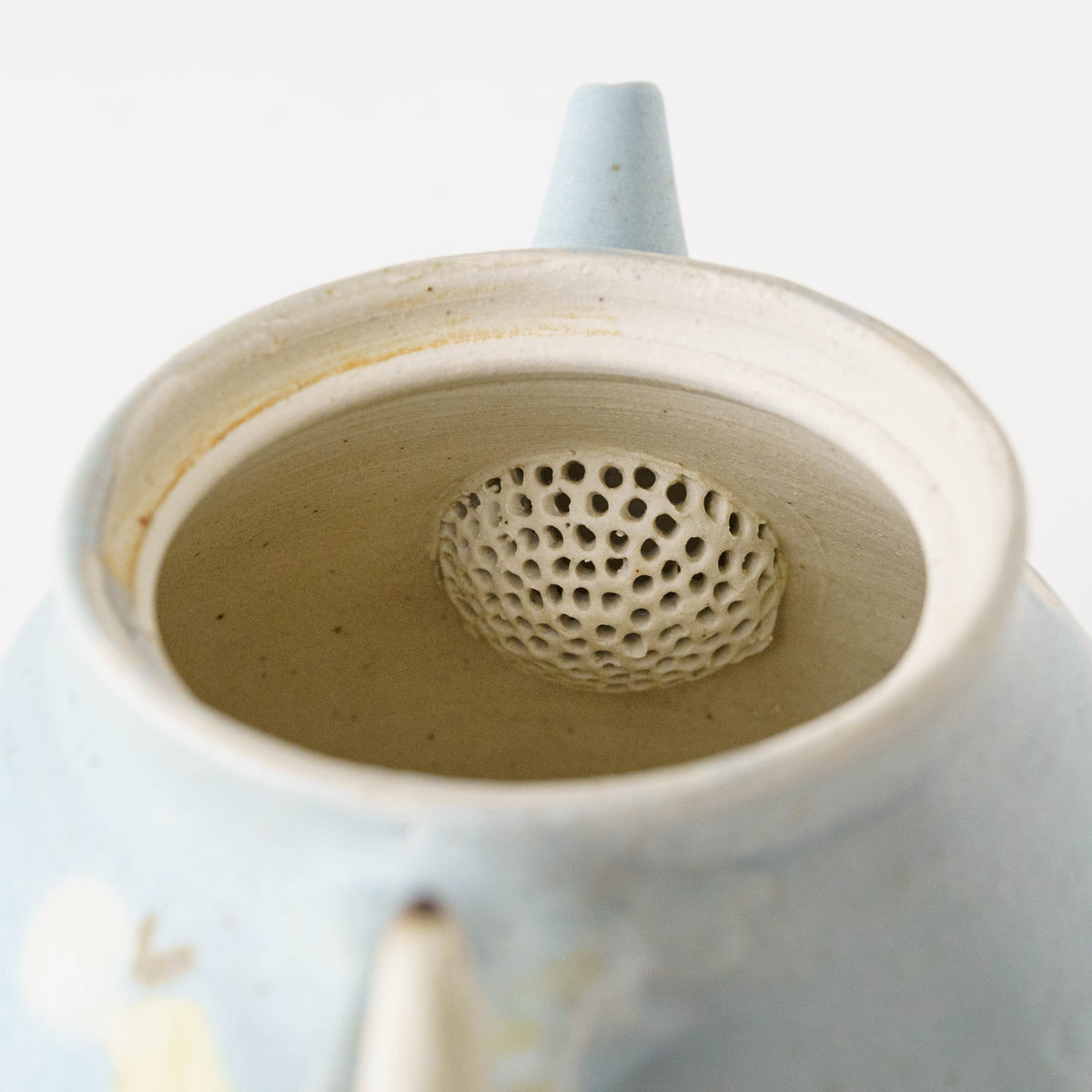 Pot Bird x Butterfly Light Blue | Haruko Harada