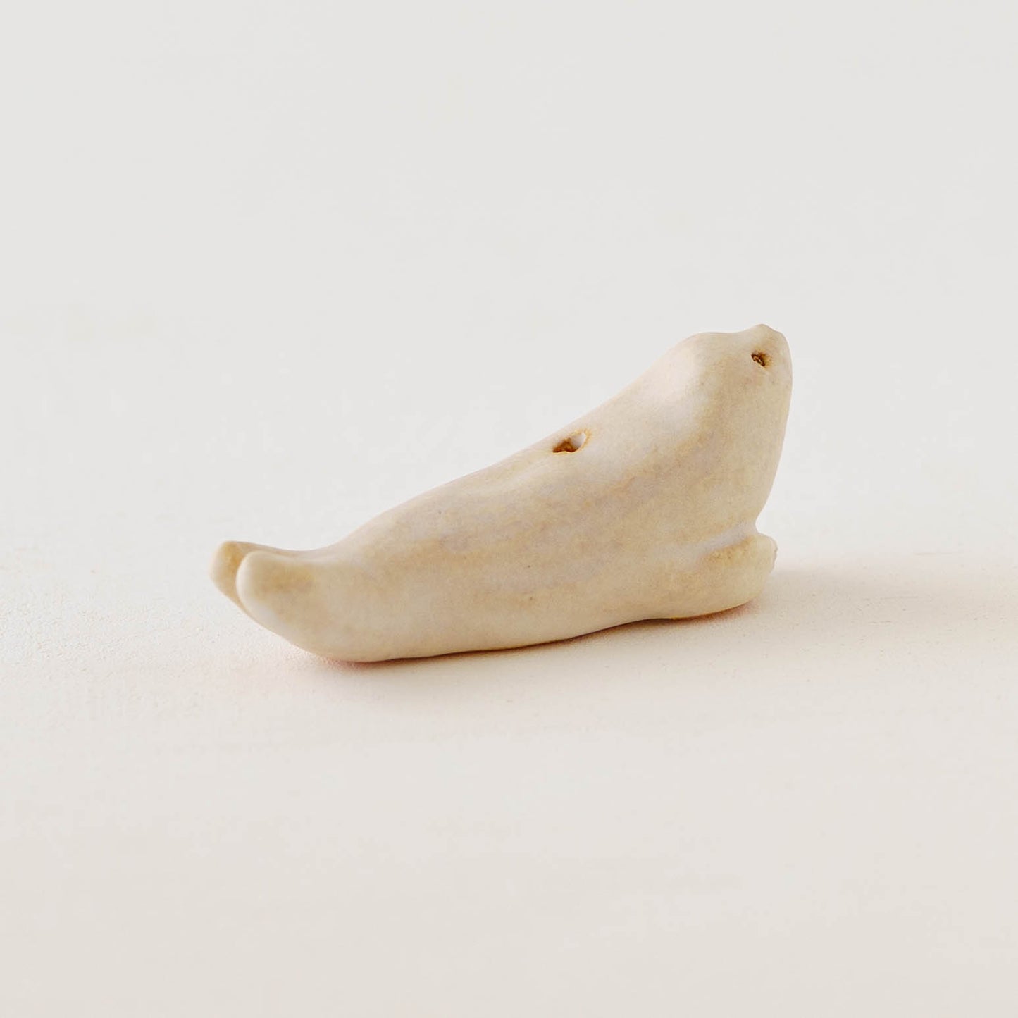 mini dry flower stand　アザラシ　A｜こいずみちはる