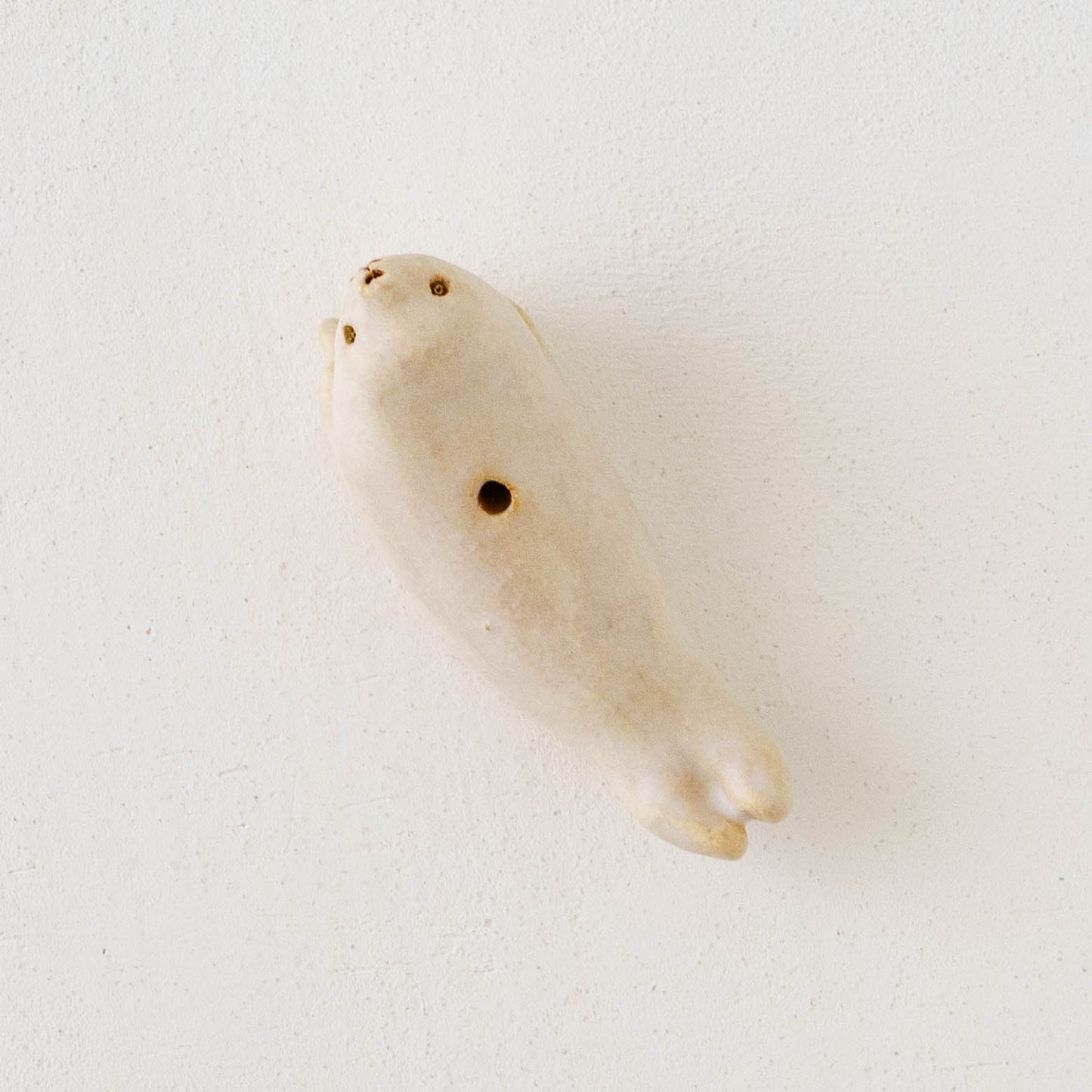 mini dry flower stand　アザラシ　A｜こいずみちはる