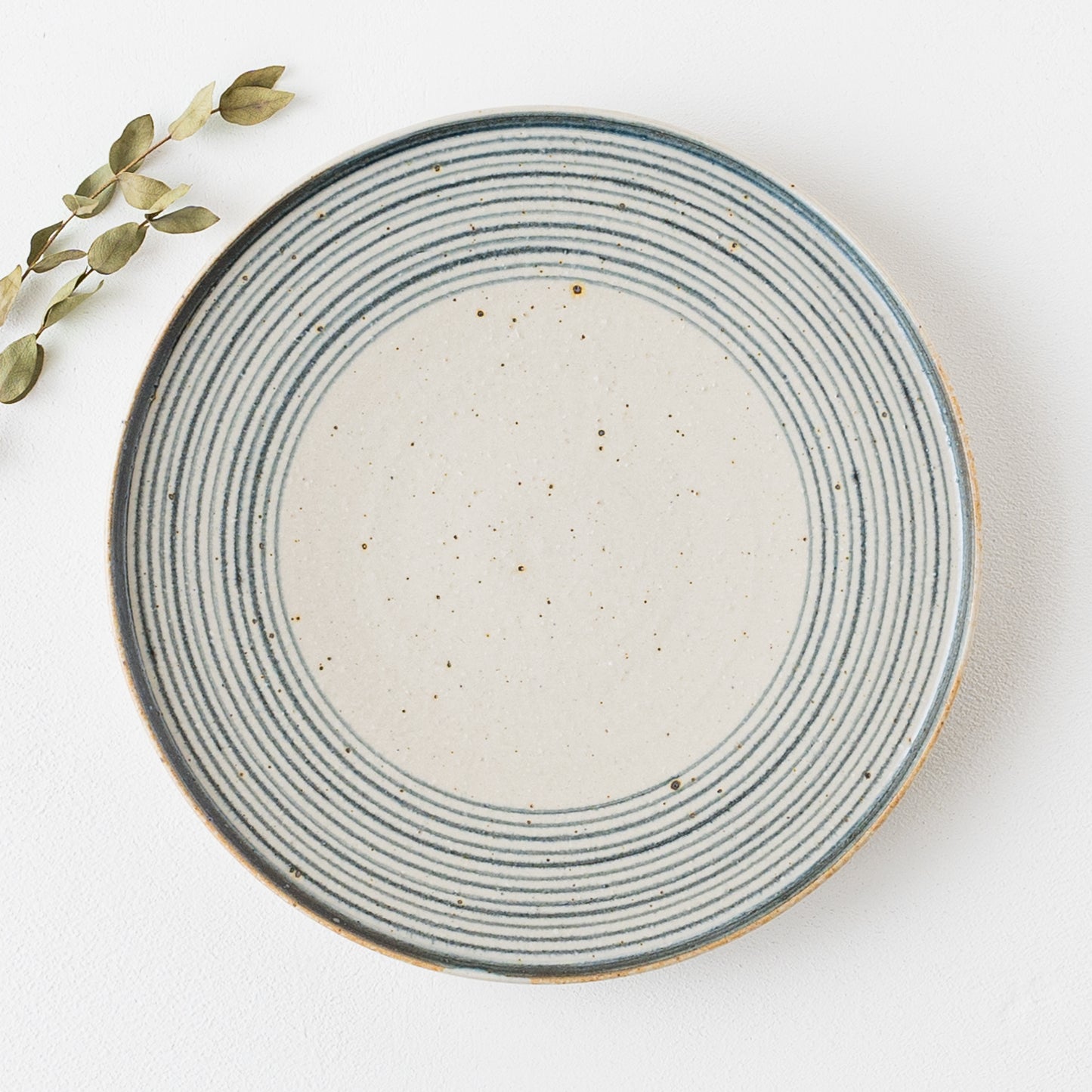 呉須の輪線が美しい冨本大輔さんの灰釉染付7寸平皿